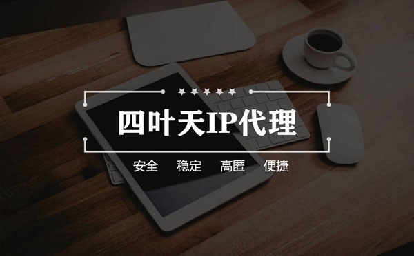 【如东代理IP】如何快速搭建代理IP？怎么检查代理的效果？